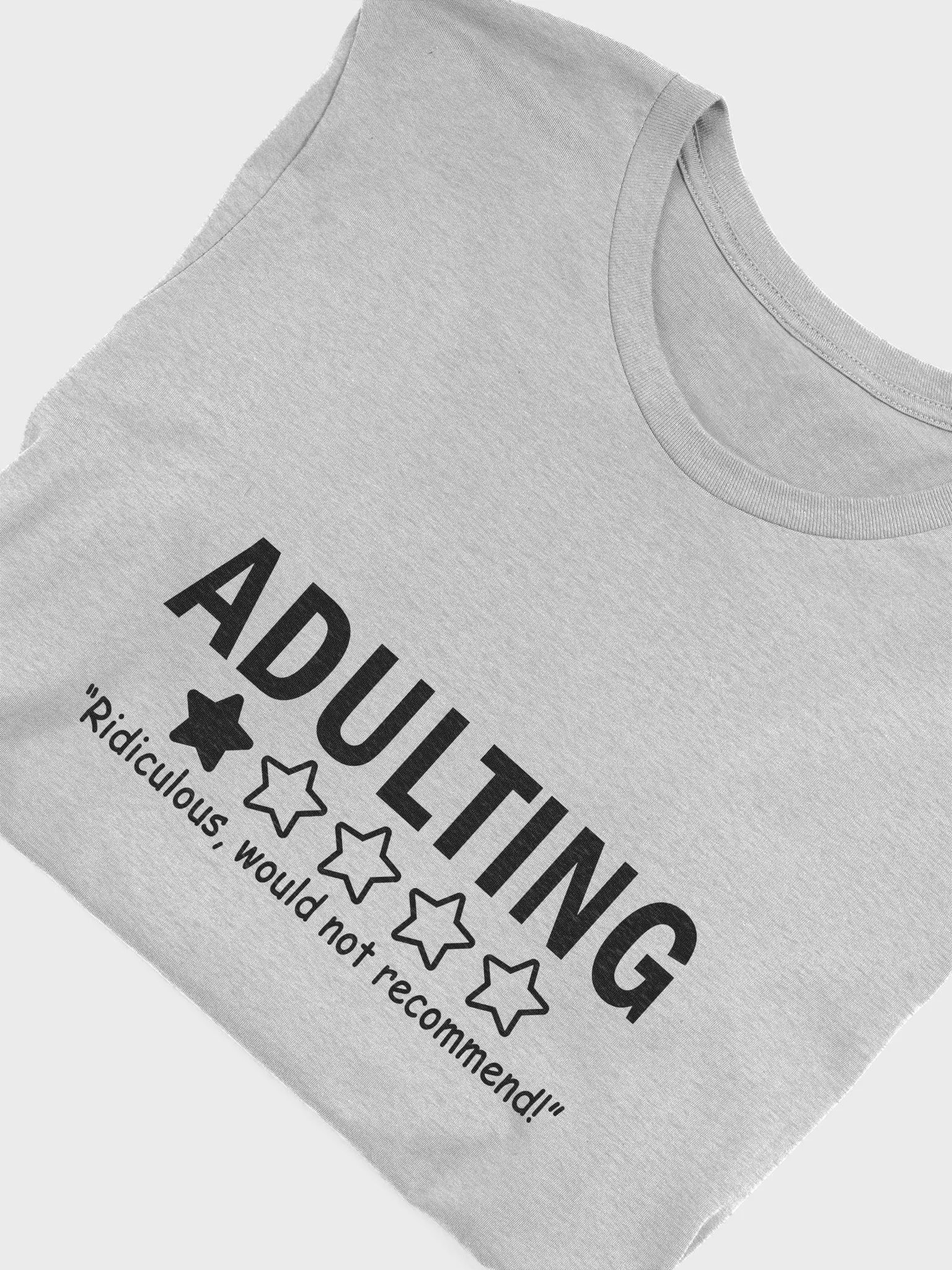adulting product image (41)
