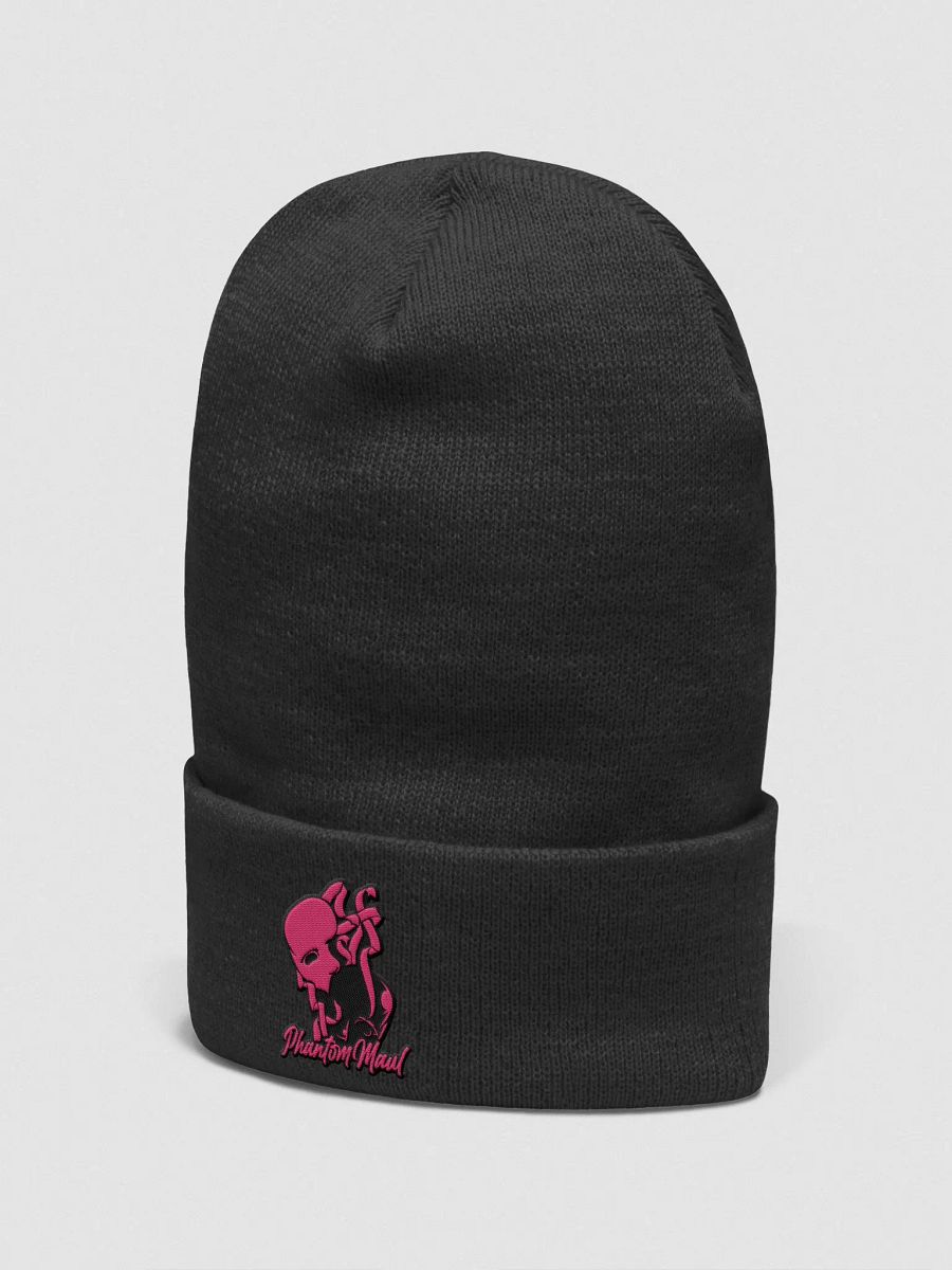 Pink Logo Beanie product image (2)