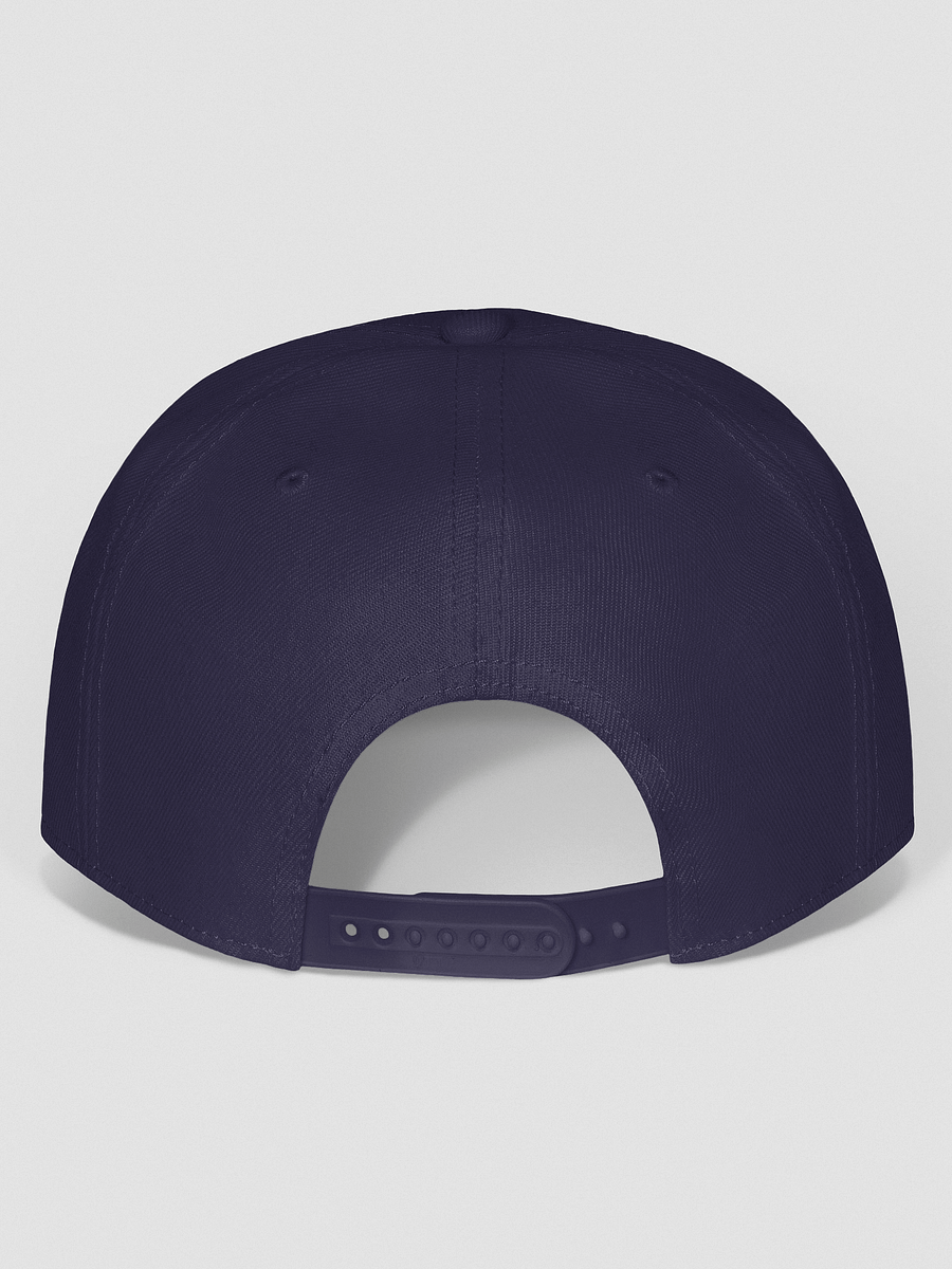 Bold 346 VIBE Snapback Cap product image (48)