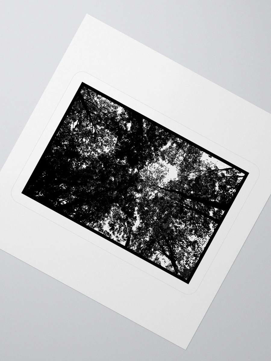 WINTER'S EVE - 'Arboretum of Solitude' Sticker product image (5)