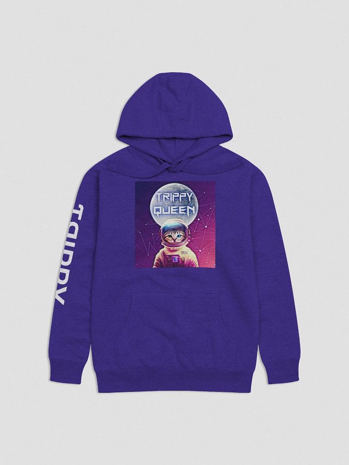 Astro- Cat Hoodie (Front Only) with White Sleeve Detail. product image (1)