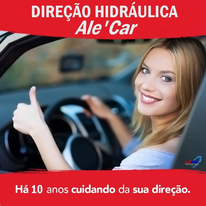 Curso Direção Hidráulica Ale'Car product image (2)