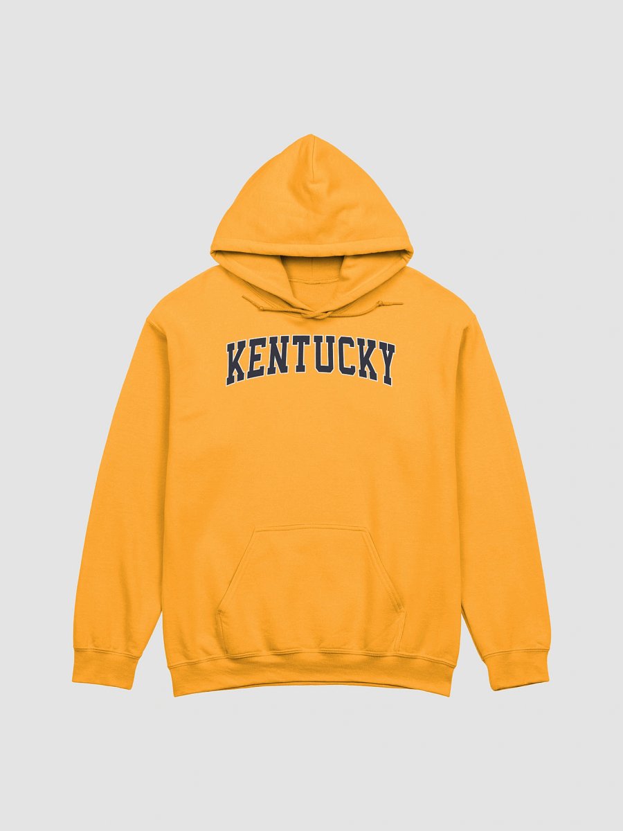 Kentucky Vintage Stylish Classic Hoodie product image (1)