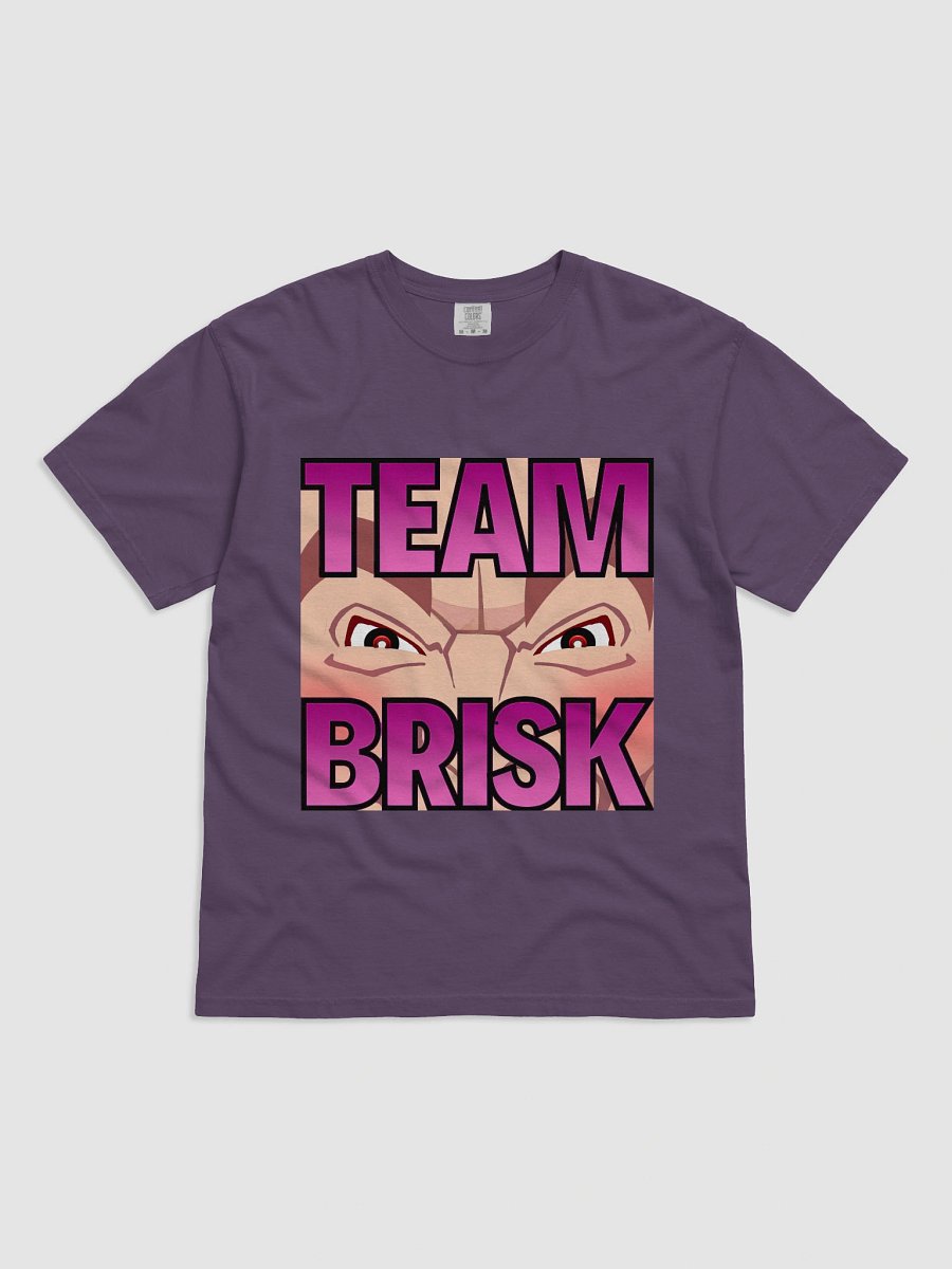 Team Brisk Heavyweight Tee Pink Fade Logo product image (25)