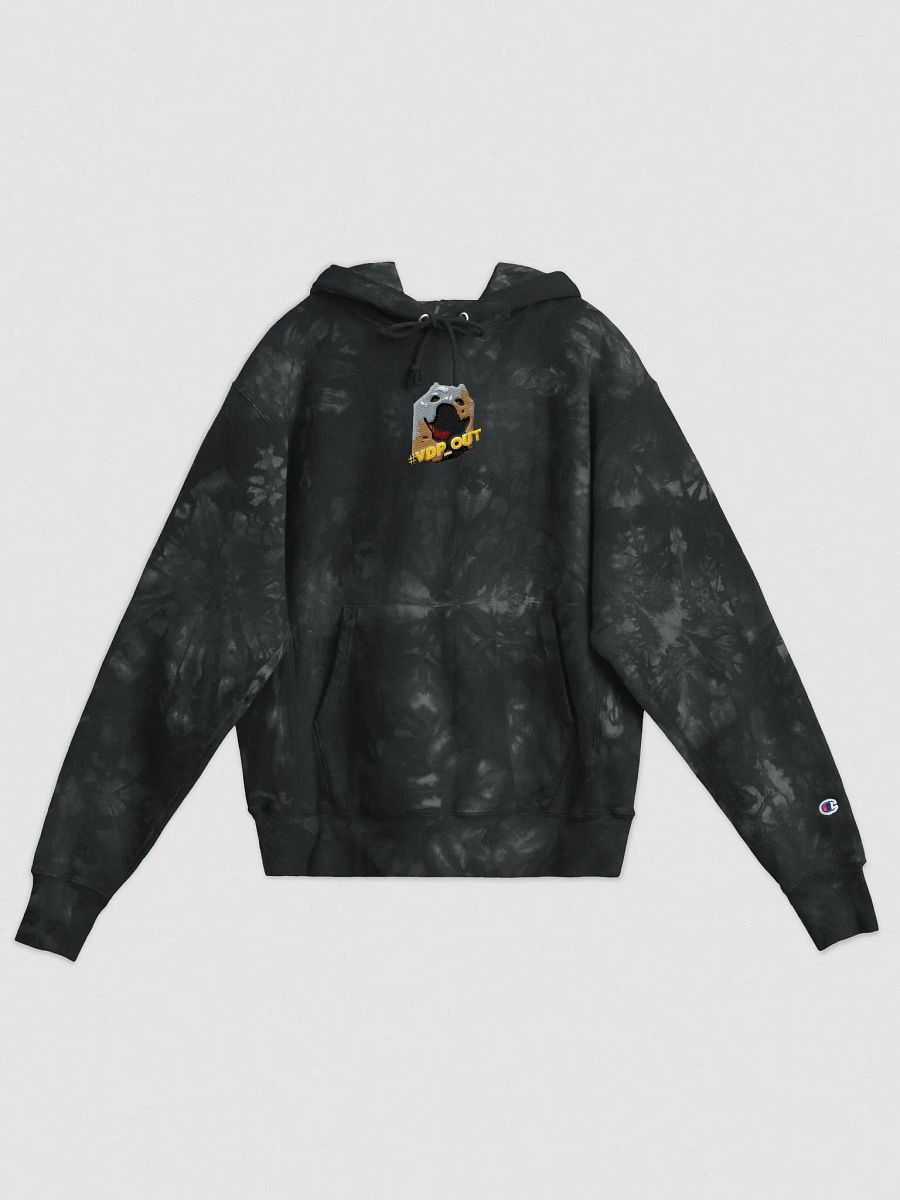 VDP_out ( Champion Hoodie ) product image (1)
