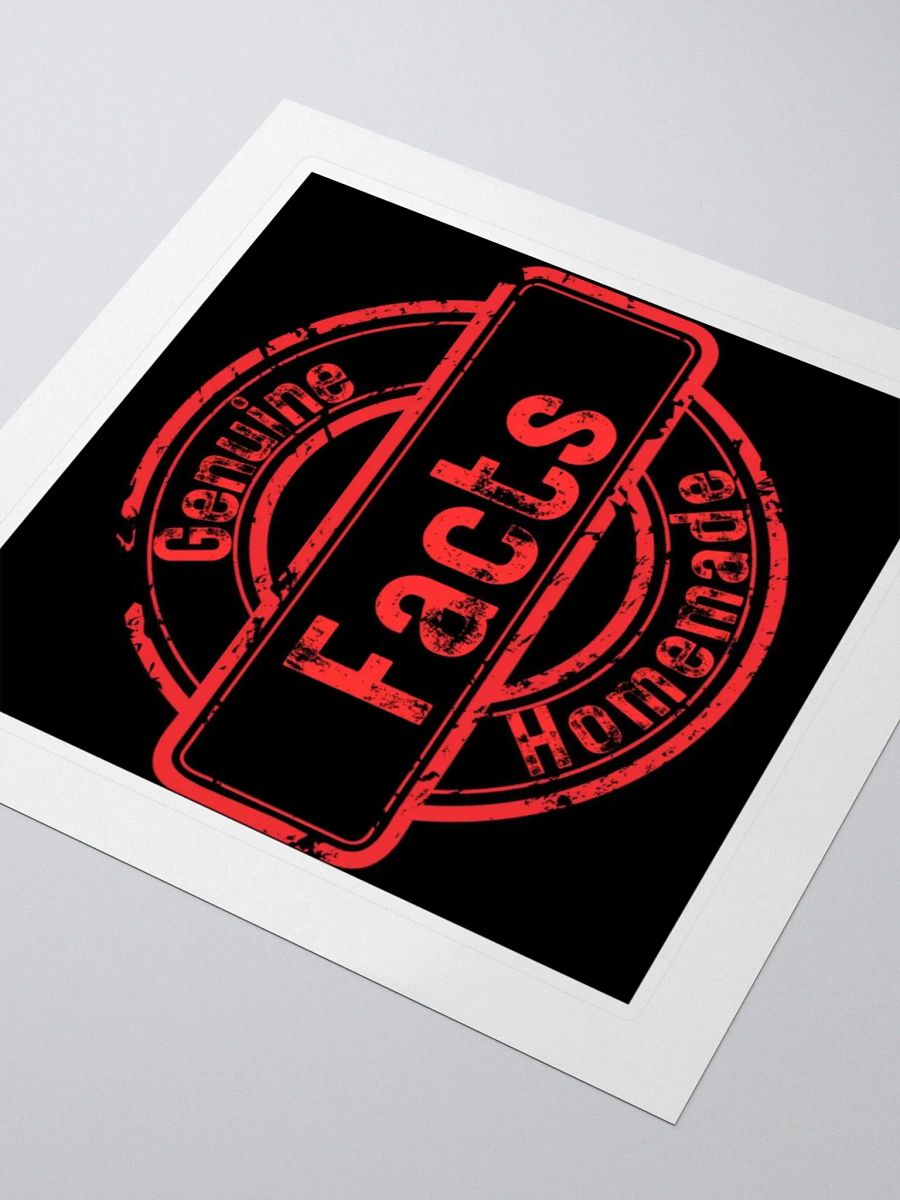 ETHANBOMB - FACTS STICKER product image (10)