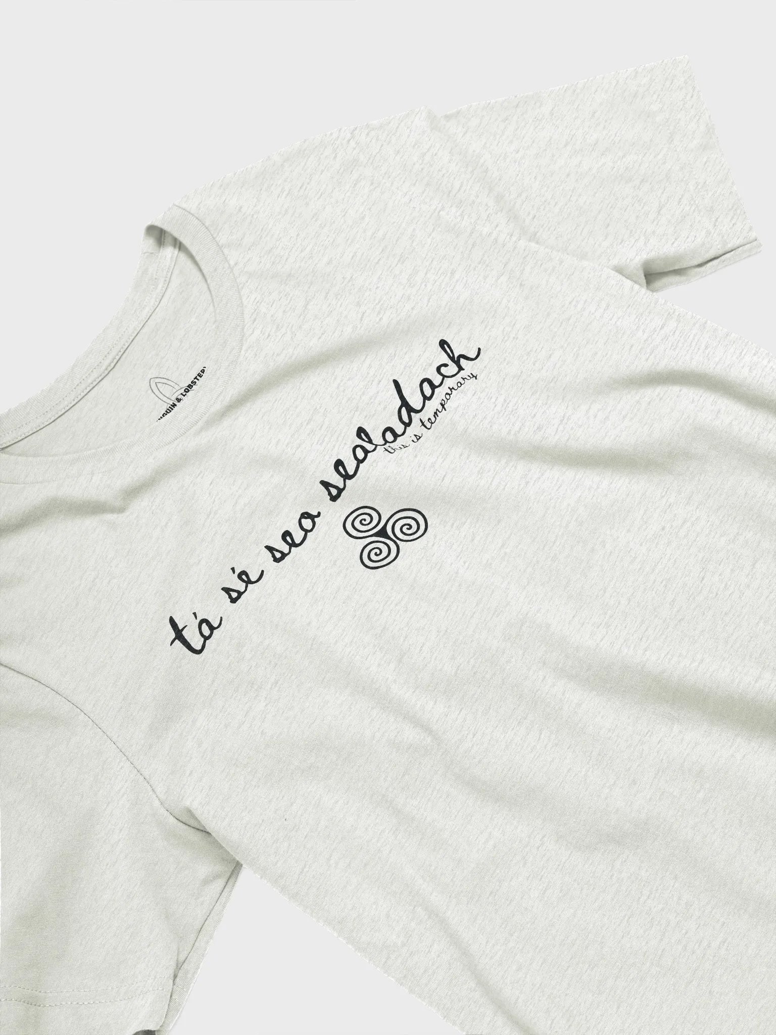 Tá Sé Seo Sealadach (This is Temporary) T-shirt Light Colors product image (30)