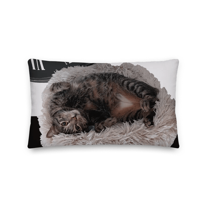 Ben Pillow with Background product image (1)