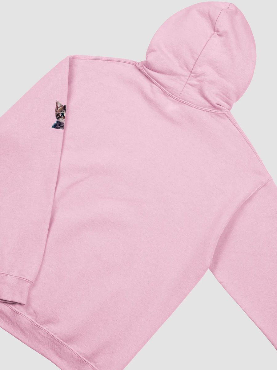 Classic Hoodie Cat product image (30)