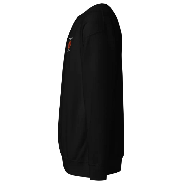 Flaming Heart - Fireplace ASMR is my Love Language | Embroidered Sweatshirt product image (2)