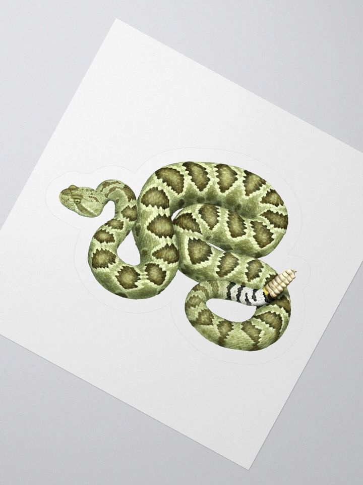 Die-Cut Sticker – Mojave Rattlesnake (Green) product image (2)