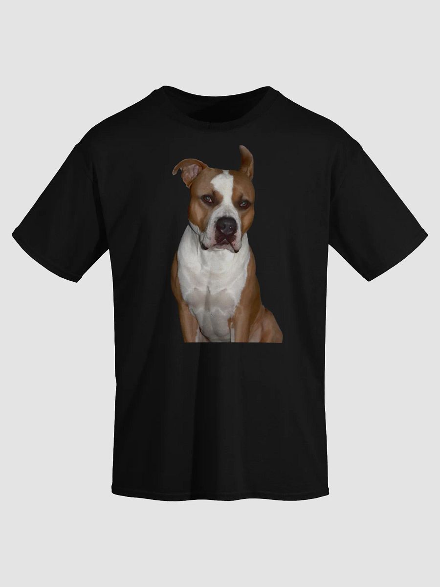 LEO TEE product image (2)