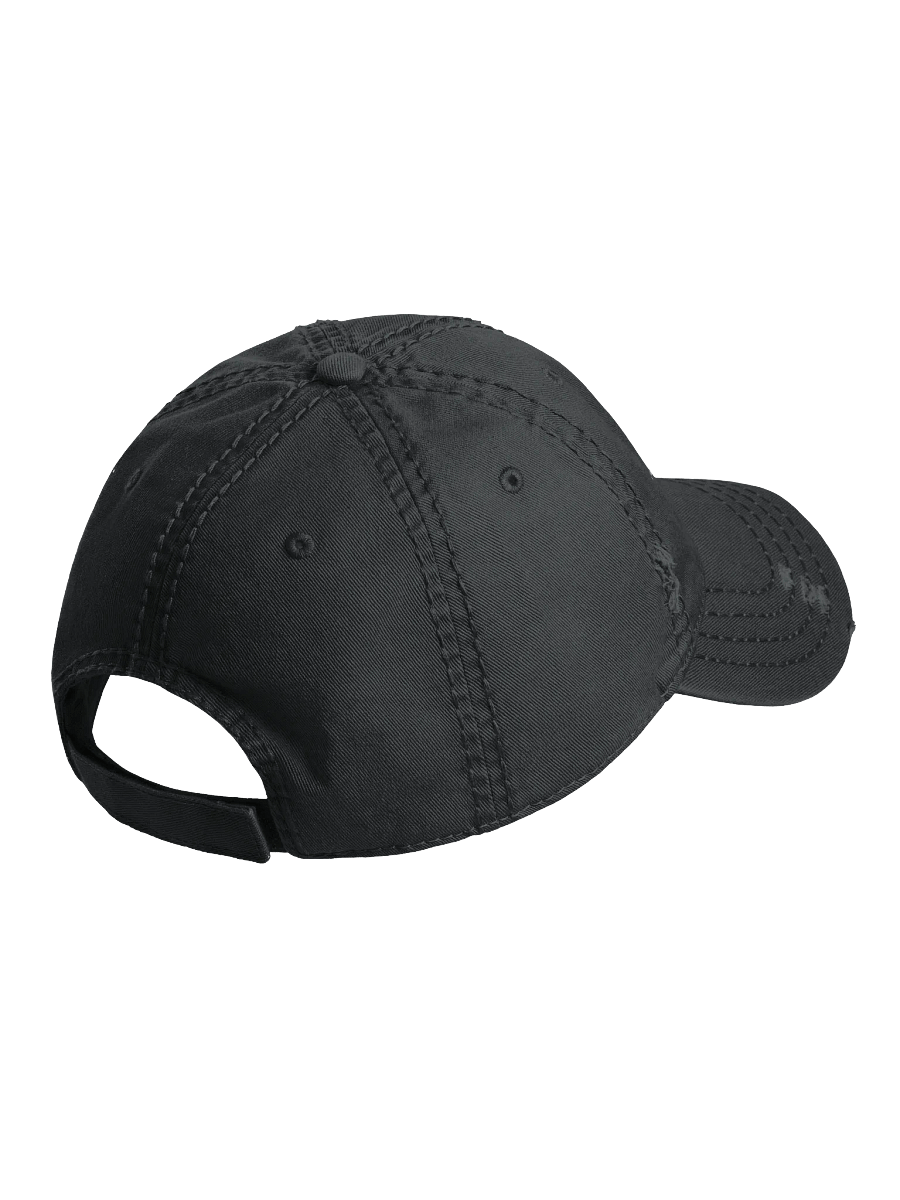 Tandepaga Distressed Dad Hat product image (6)
