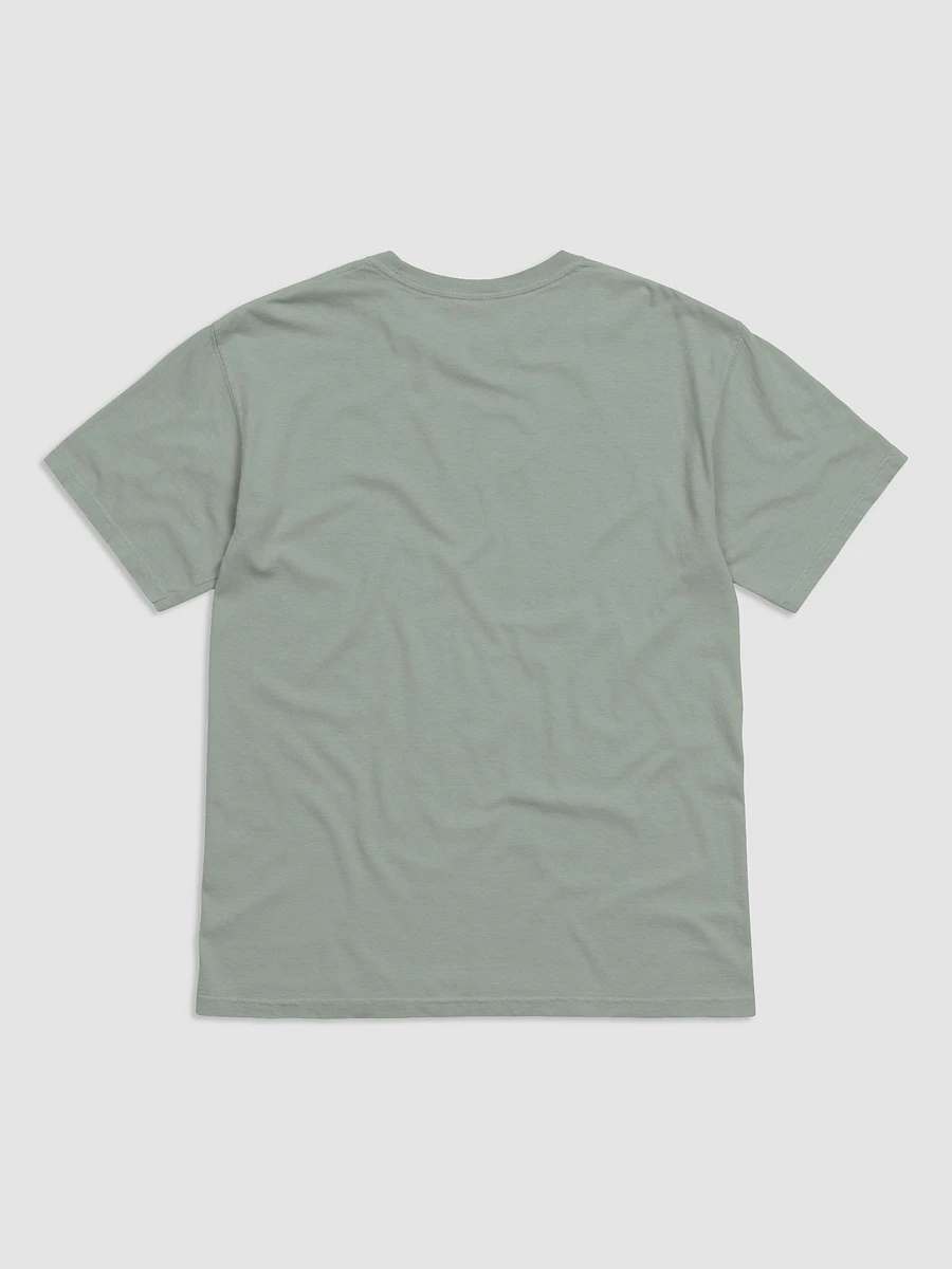 Comfort Colors Garment-Dyed Heavyweight T-Shirt product image (11)