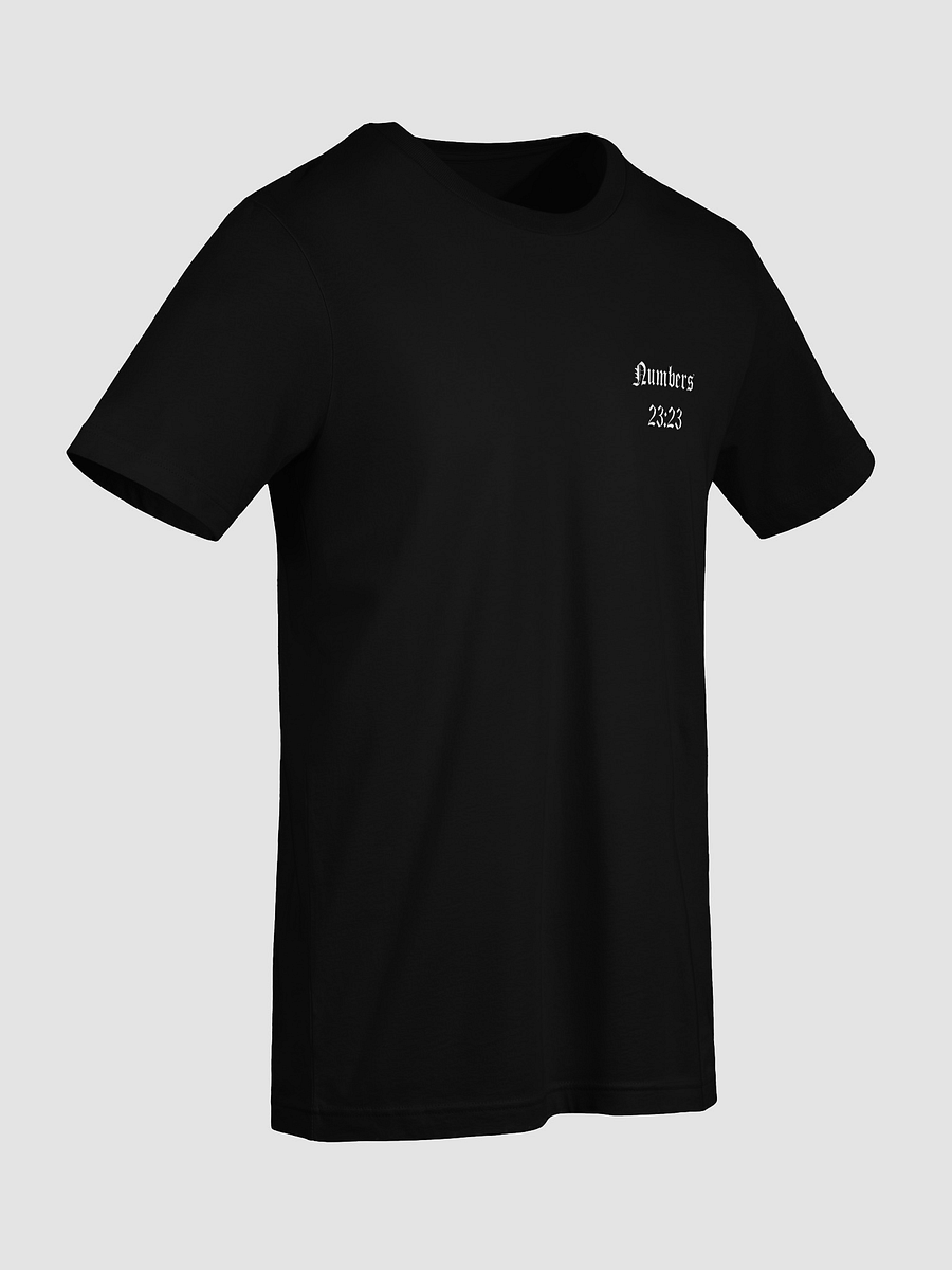 numbers 23:23 tee unisex product image (13)