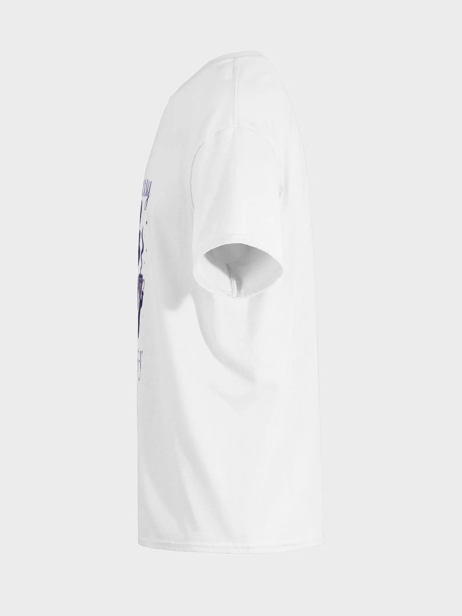 Classy Raccoon product image (13)