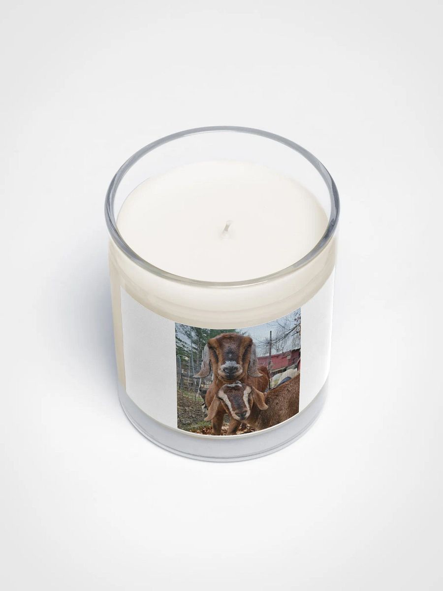 Wilson & Patrick goats candle product image (3)