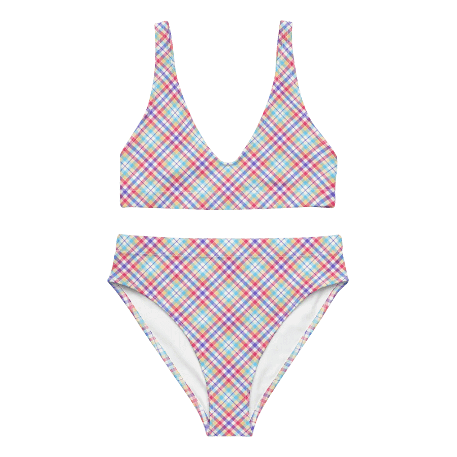 Purple, Pink, and Blue Plaid Bikini product image (2)