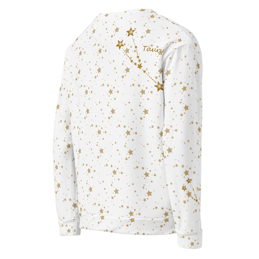 Taurus 2025, Constellation, Sweashirt product image (5)