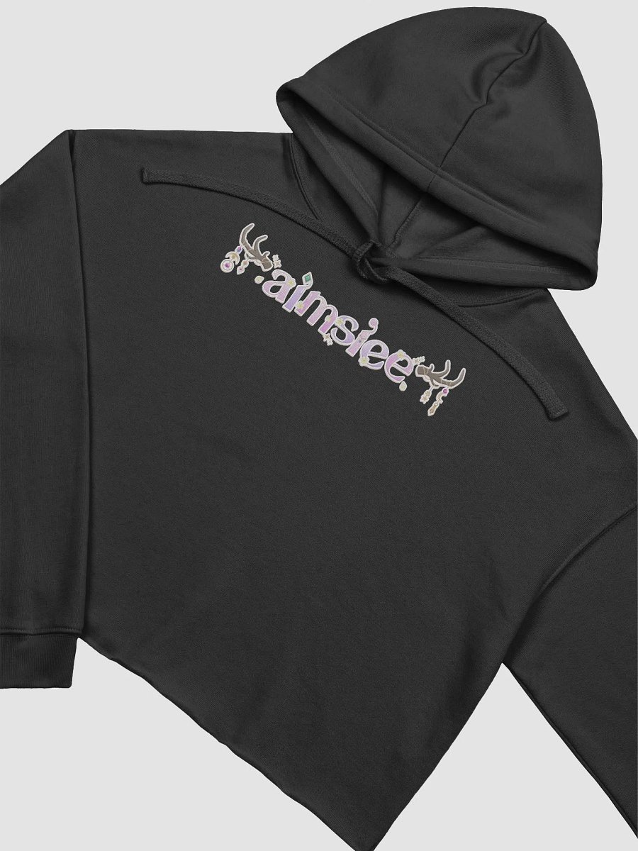 aimsiee cropped hoodie product image (3)