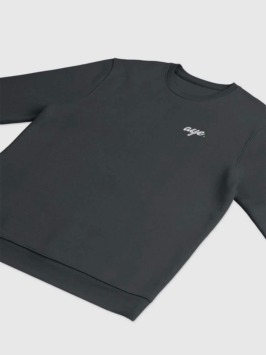 the "aye" deep dive$ crewneck. product image (3)