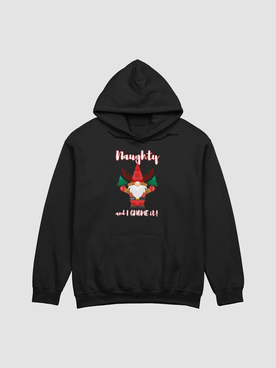 NAUGHTY AND I GNOME IT product image (1)