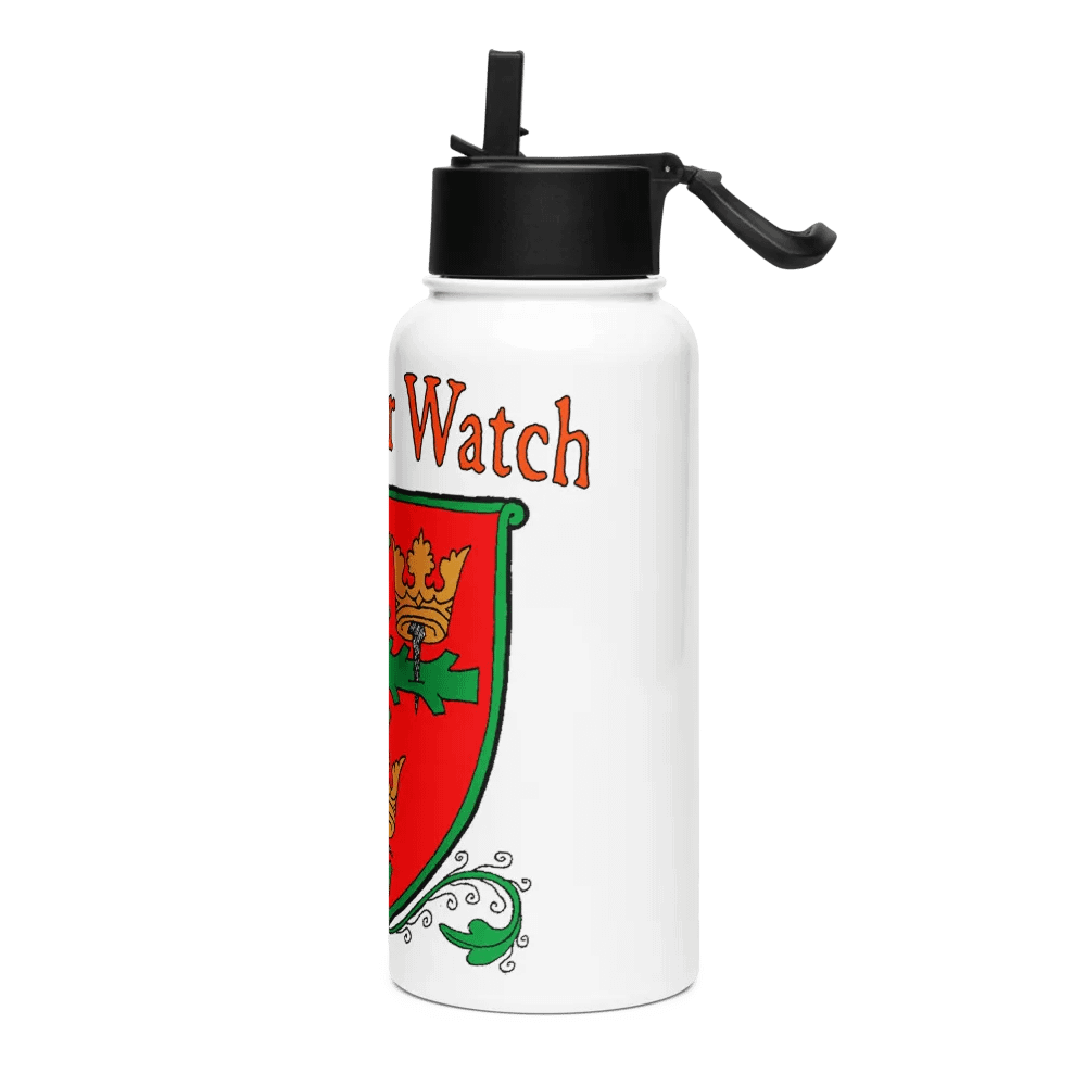 Stainless Steel Water Bottle with a Straw Lid product image (3)