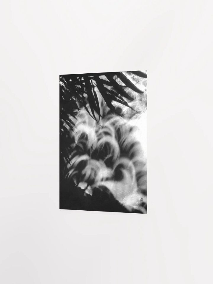 Crescents of Light from the Eclipse - Poster 3 product image (15)