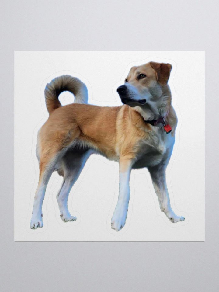 Tailsy sticker product image (1)