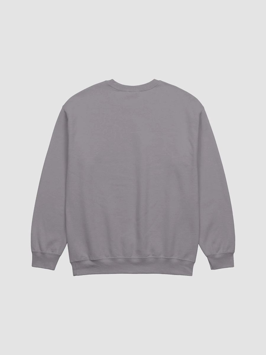 COMMUNITY OVER COMPETITION SWEATSHIRT | Community Over Competition Collection product image (2)