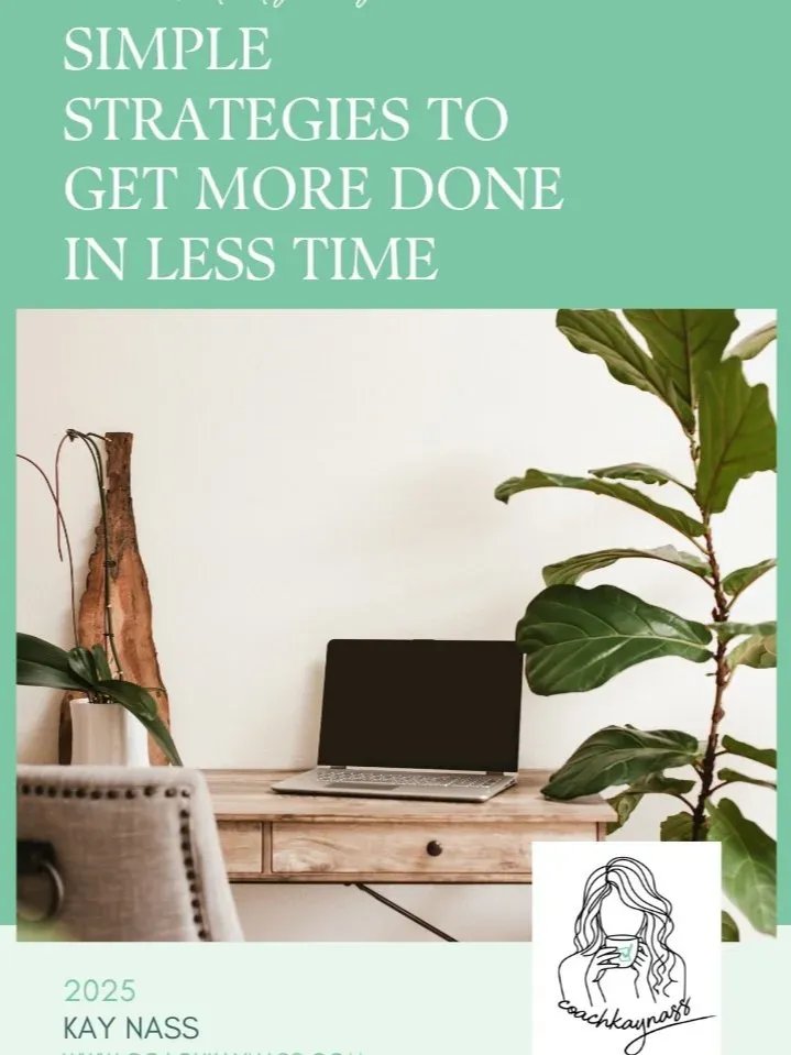 The Productivity Playbook product image (1)