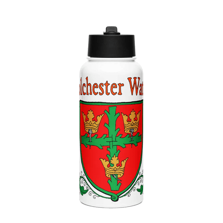 Stainless Steel Water Bottle with a Straw Lid product image (1)