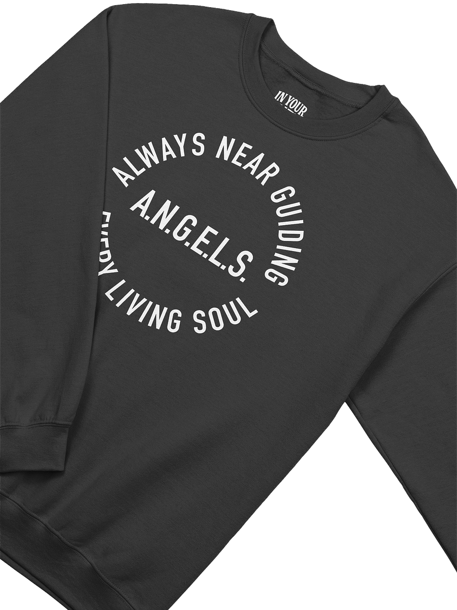 A.N.G.E.L.S. Sweatshirt product image (3)