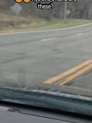 Damn even the farm animals protesting today🤣🤣😂😂