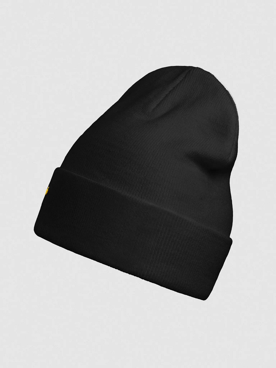 Beanie 1 product image (2)