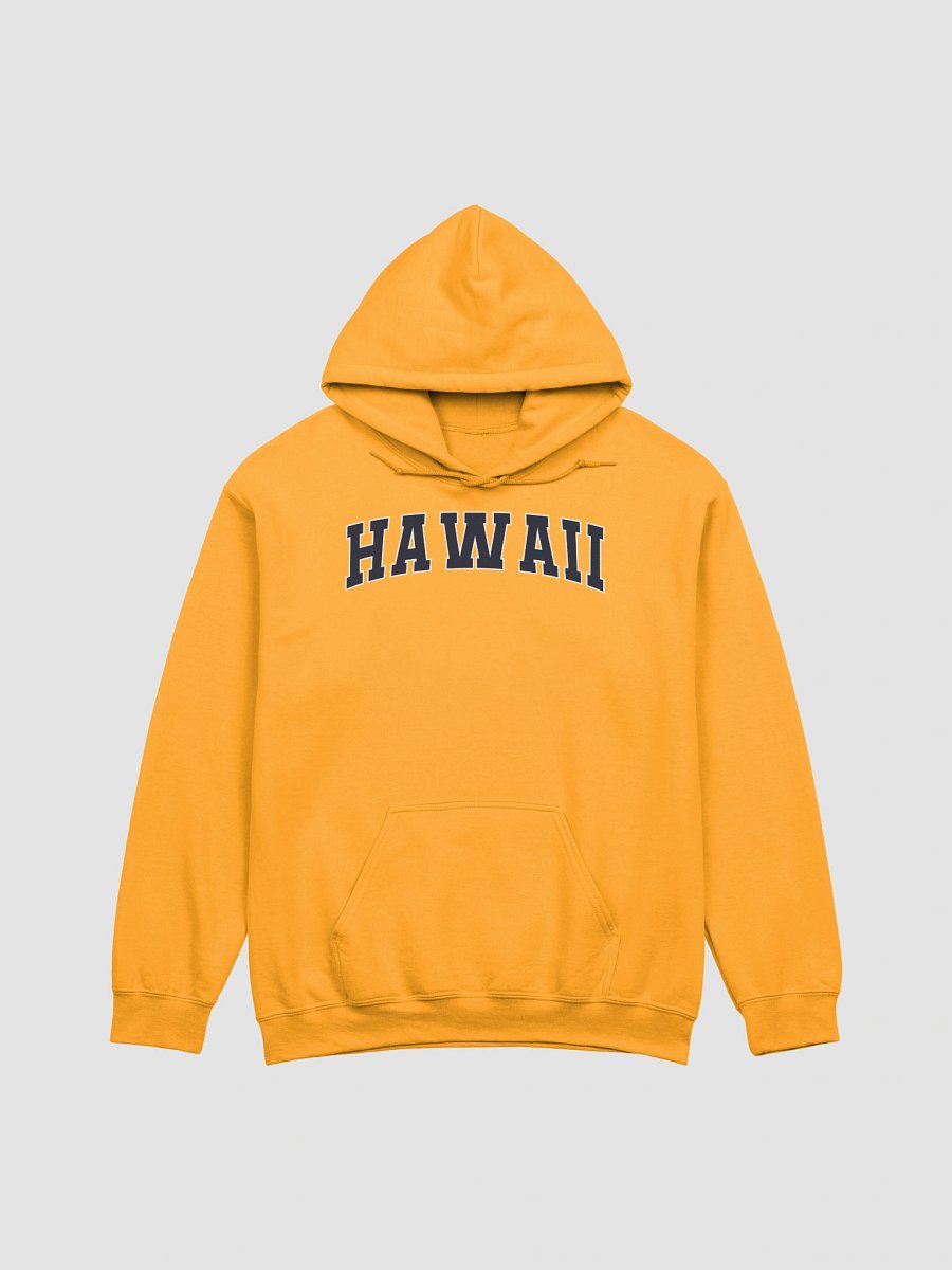 Hawaii Vintage Stylish Classic Hoodie product image (1)