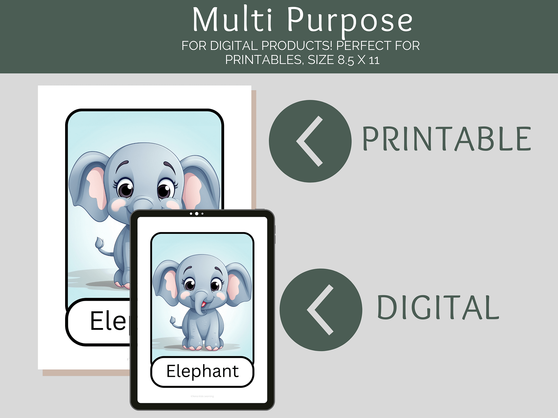 Digital Zoo Animals Flash Cards product image (3)