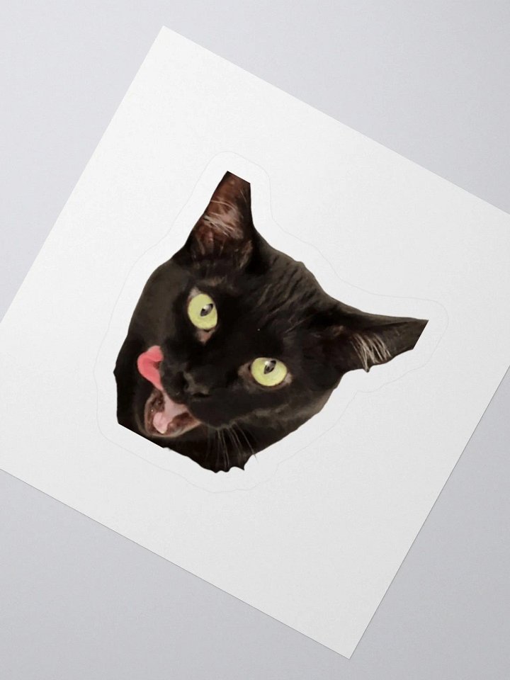 Raven Sticker product image (2)