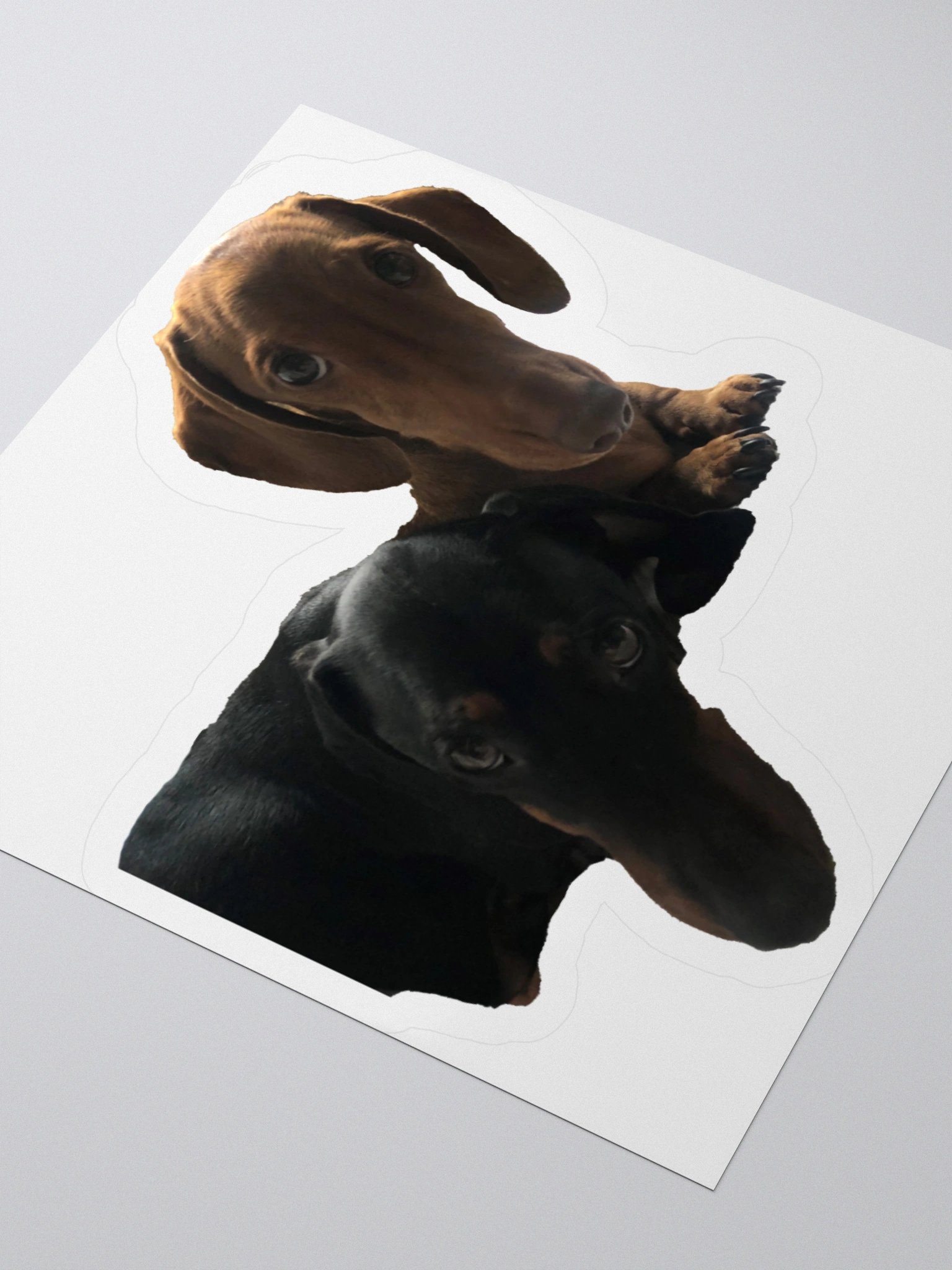 Stan and Marshie Sticker product image (7)