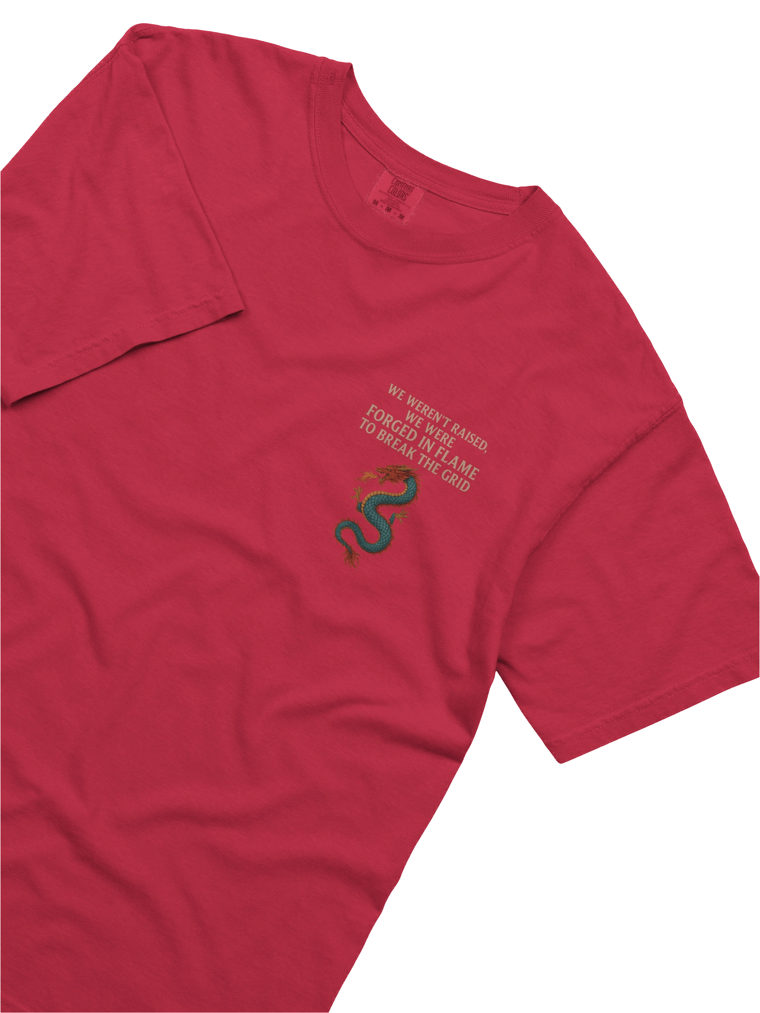 🐉 Double-Sided Dragon – Flame Carrier Tee Front-facing power. Backward flame. All memory. product image (106)
