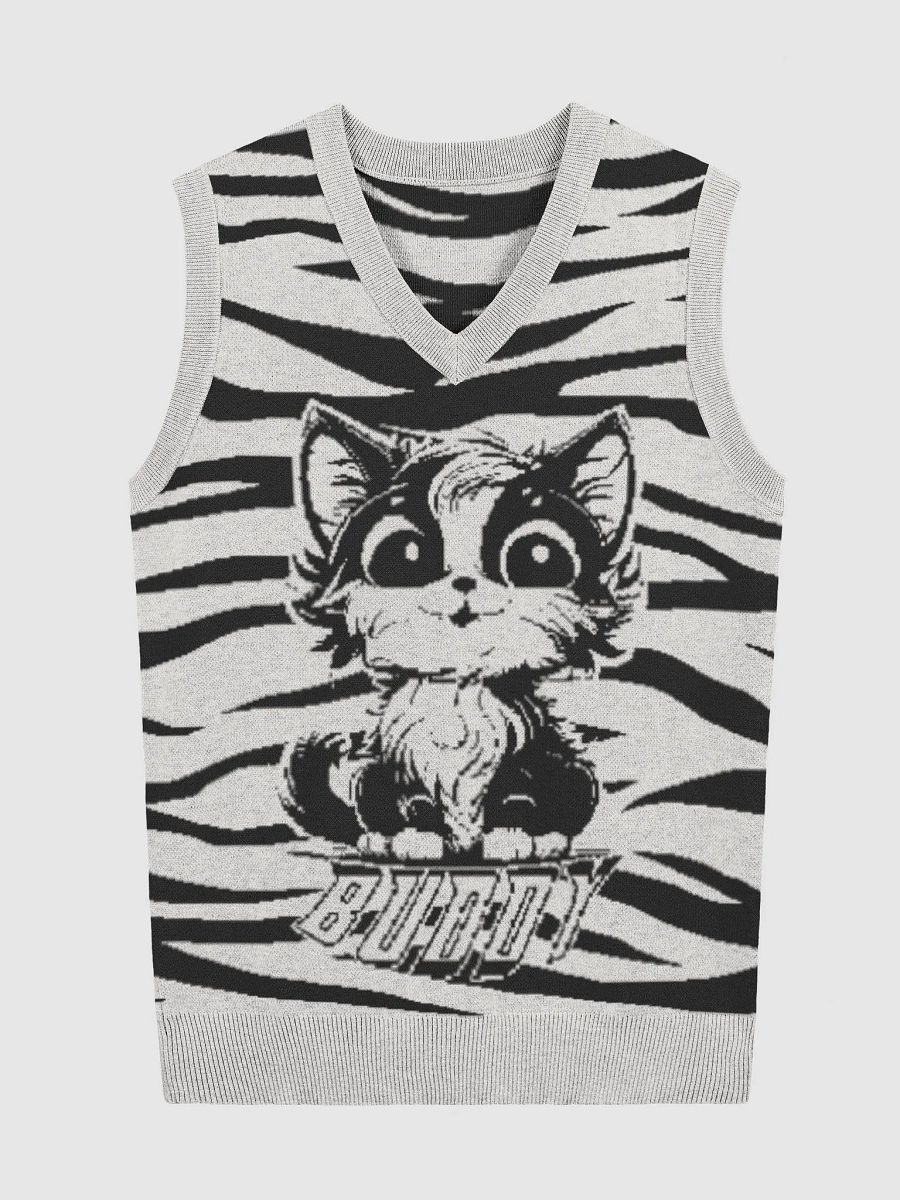 Buddy Knitted V-Neck Vest 4 product image (1)