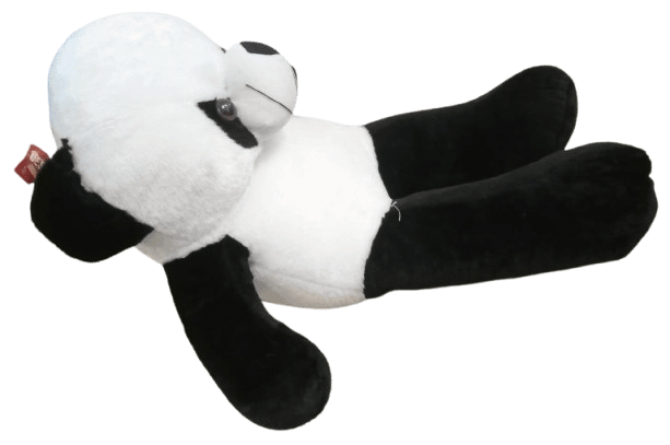 Teddy Bear product image (4)