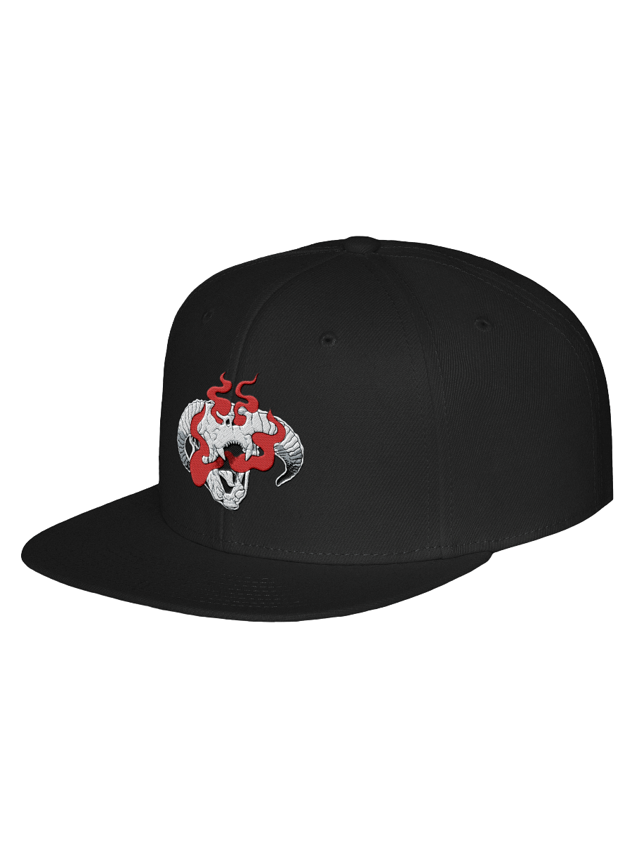 Cult Snapback product image (9)