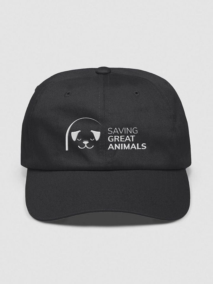 SGA Baseball Cap product image (1)