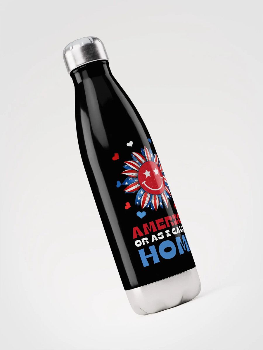 AMERICA OR AS I CALL IT HOME product image (3)