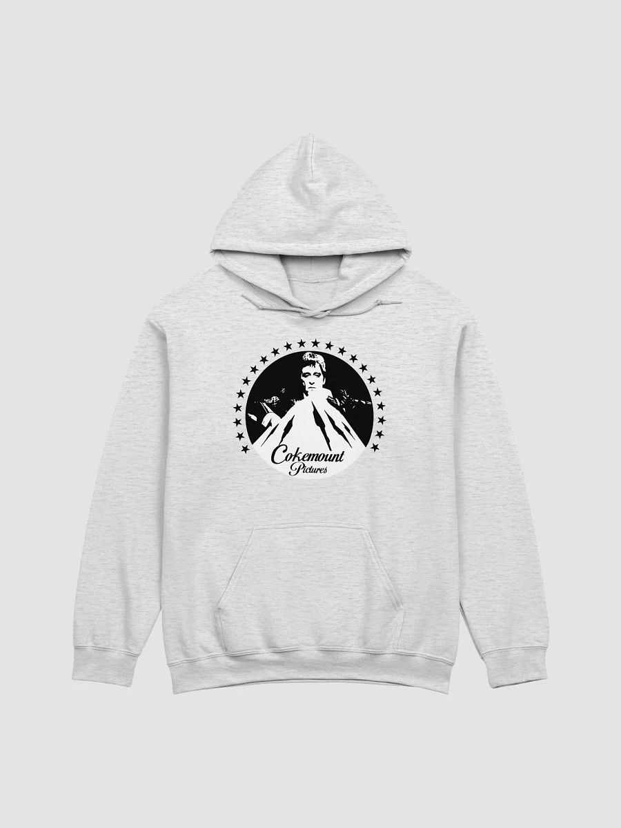 Cokemount Pictures Gildan Classic Hoodie product image (3)
