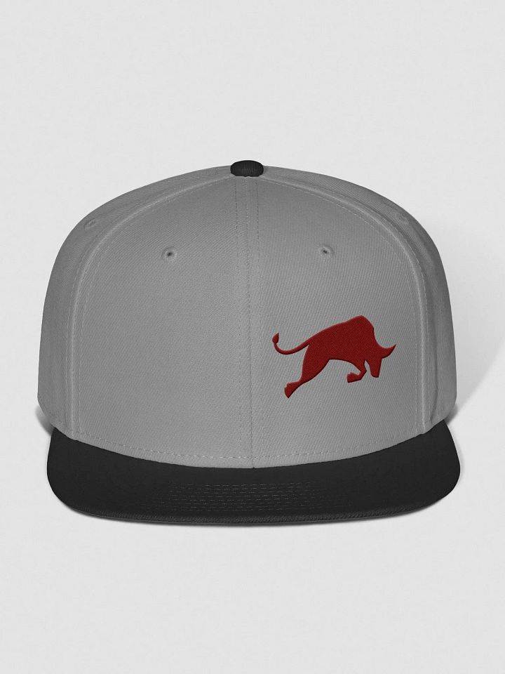 Bulls Outline Snapback product image (3)