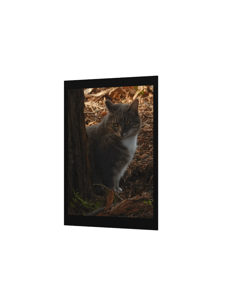 Forest Kitty product image (3)