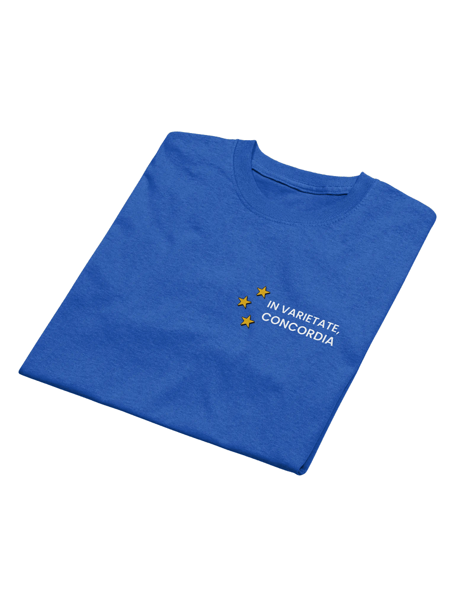 Heavy T-Shirt - In Varietate, Concordia & EU Map - Blue & Variants product image (5)
