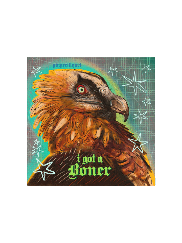 bearded vulture print product image (2)
